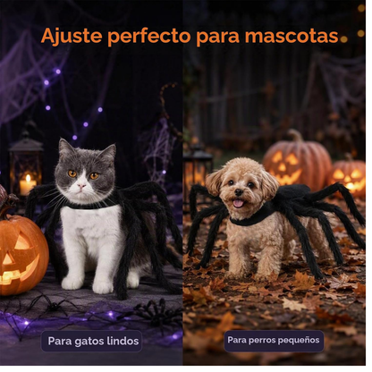 Disfraz de Araña para Gatos 🕷️ | Pawlio