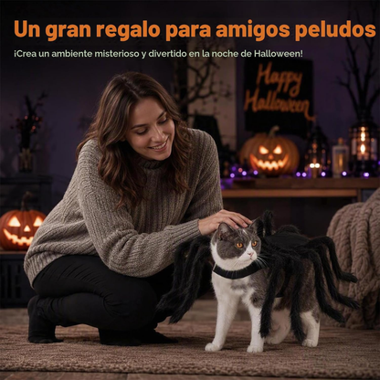Disfraz de Araña para Gatos 🕷️ | Pawlio