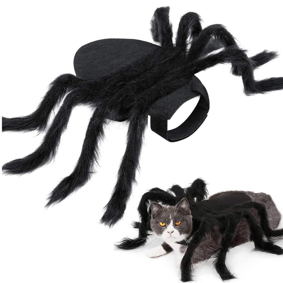 Disfraz de Araña para Gatos 🕷️ | Pawlio