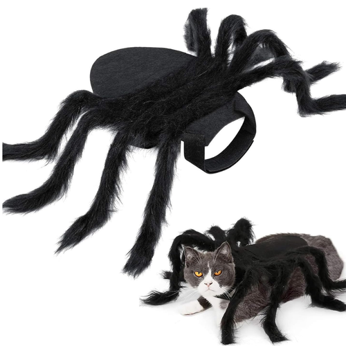 Disfraz de Araña para Gatos 🕷️ | Pawlio