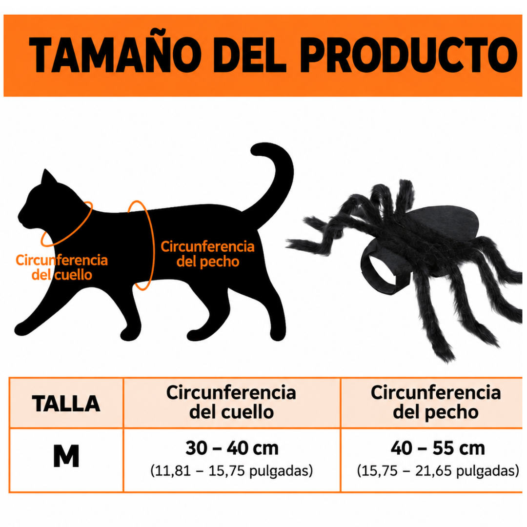 Disfraz de Araña para Gatos 🕷️ | Pawlio