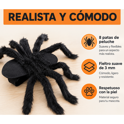 Disfraz de Araña para Gatos 🕷️ | Pawlio